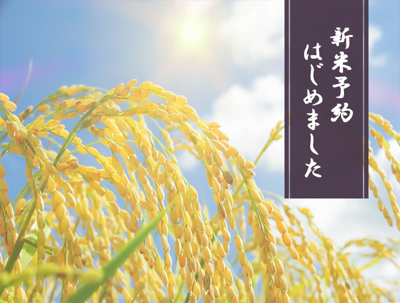 令和5年産新米 伊賀米コシヒカリ・三重県産コシヒカリ 新米